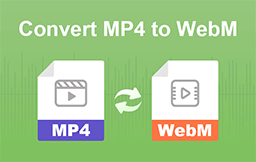 How To Convert Mp To Webm On Pc Or Mac